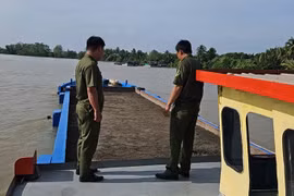 Bắt giữ 6 phương tiện tàng trữ gần 537 m3 cát “lậu”