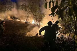 Phát hiện thi thể người đàn ông khi chữa cháy rừng ở Huế