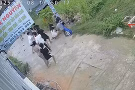Nữ sinh bị đánh hội đồng, quay clip tung lên mạng