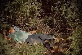 Người phụ nữ bị điện giật tử vong thương tâm ở Huế