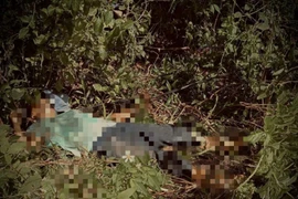 Người phụ nữ bị điện giật tử vong thương tâm ở Huế