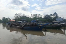 Phát hiện 4 tàu sắt vận chuyển lượng lớn cát lậu ở Vĩnh Long