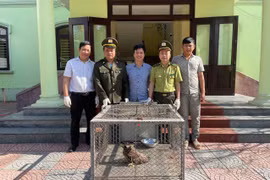 Tiếp nhận nhiều cá thể động vật quý hiếm ở Huế