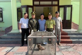 Tiếp nhận nhiều cá thể động vật quý hiếm ở Huế