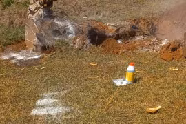 Tiêu huỷ xác lợn chết bị vứt bừa bãi ở Quảng Trị