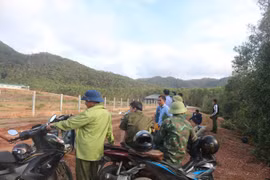 Trại lợn ở Quảng Trị bị xử phạt 320 triệu đồng do vi phạm môi trường