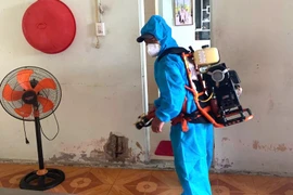 Người đàn ông ở Huế tử vong do nhiễm liên cầu khuẩn lợn