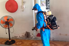 Người đàn ông ở Huế tử vong do nhiễm liên cầu khuẩn lợn