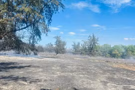 Gần 100 người tham gia chữa cháy rừng ở Quảng Trị