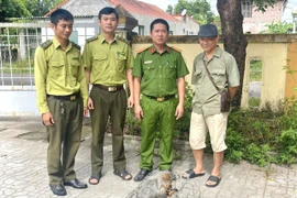 Người dân Quảng Trị giao nộp cá thể khỉ mặt đỏ quý hiếm