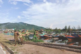 Hà Tĩnh khẩn trương kêu gọi tàu thuyền vào tránh trú bão số 5