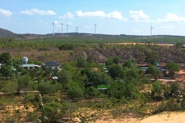 Một chủ tịch phường ở Bình Thuận bị đình chỉ công tác