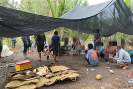 Đột kích sới gà, bắt giữ 26 đối tượng ở An Giang