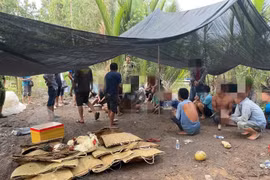 Đột kích sới gà, bắt giữ 26 đối tượng ở An Giang