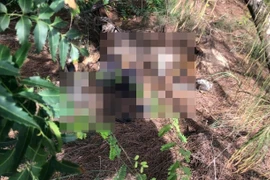 Phát hiện thi thể không nguyên vẹn gần bờ biển ở Lâm Đồng