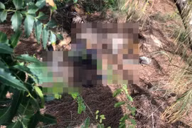 Phát hiện thi thể không nguyên vẹn gần bờ biển ở Lâm Đồng