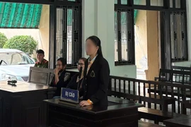 “Nữ quái” lĩnh án tù vì lừa đảo hơn 2,5 tỷ đồng