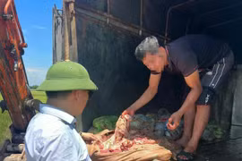 Bắt giữ hơn 1 tấn sản phẩm động vật không rõ nguồn gốc