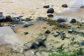 Phát hiện thi thể trôi dạt vào bờ biển Cửa Tùng