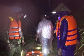 Tìm kiếm người đàn ông mất tích khi đi chăn bò ở Quảng Trị