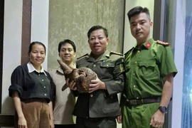 Người dân Quảng Trị giao nộp cá thể tê tê quý hiếm