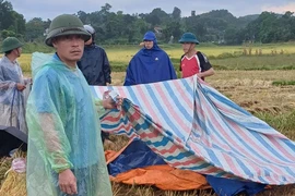 Liên tiếp xảy ra sét đánh khiến 2 người tử vong ở Hà Tĩnh