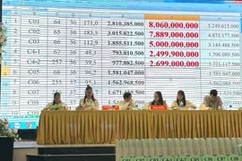 “Sốc” với màn đấu giá đất ở Quảng Trị, có lô vượt 73 triệu đồng/m2