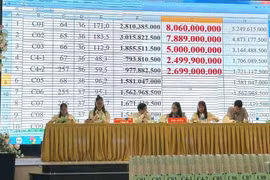 “Sốc” với màn đấu giá đất ở Quảng Trị, có lô vượt 73 triệu đồng/m2