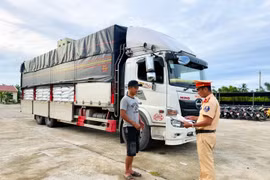 Bắt giữ gần 30 tấn đường không rõ nguồn gốc ở TP Huế