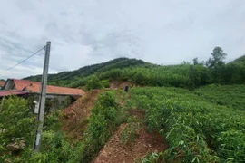 Xuất hiện nhiều vết nứt lớn, xã miền núi Quảng Trị di dời hàng chục hộ dân