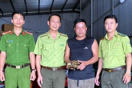 Rùa vàng quý hiếm bò lạc vào nhà dân ở Hà Tĩnh
