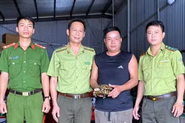 Rùa vàng quý hiếm bò lạc vào nhà dân ở Hà Tĩnh