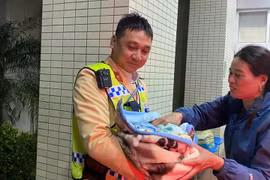 Sản phụ sinh con trên xe chuyên dụng cảnh sát giao thông