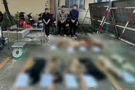 Triệt xoá đường dây chuyên trộm chó ở TP HCM