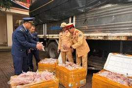 Bắt giữ hơn 200kg thực phẩm 'bẩn' ở Hà Tĩnh