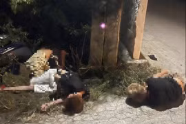 Xe máy lao vào cột điện, 3 người thương vong ở Nghệ An