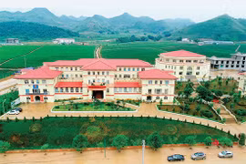 Sơn La sắp đấu giá 47 lô đất, khởi điểm 900 triệu đồng/lô