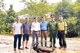 Vườn Quốc gia Vũ Quang tiếp nhận 4 cá thể động vật quý hiếm