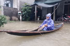 Hỗ trợ khẩn cấp 160 tấn hạt giống lúa cho TP Huế