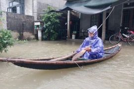 Hỗ trợ khẩn cấp 160 tấn hạt giống lúa cho TP Huế