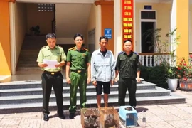 Người dân Hà Tĩnh giao nộp nhiều cá thể động vật quý hiếm