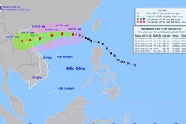 Bão Wipha có cường độ ảnh hưởng rất rộng và nguy hiểm