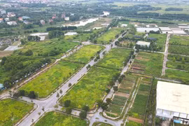 Hưng Yên đưa 30 lô đất lên sàn, khởi điểm hơn 19,2 triệu đồng/m2