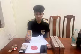 Bắt đối tượng vận chuyển gần 200 viên ma tuý ở Quảng Trị