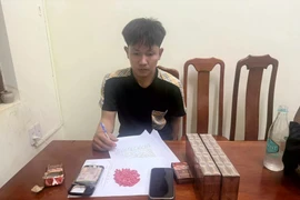 Bắt đối tượng vận chuyển gần 200 viên ma tuý ở Quảng Trị