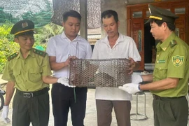 Cá thể tê tê quý hiếm lạc vào nhà dân ở Huế