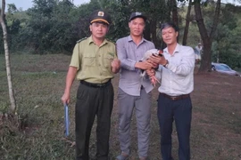 Người dân TP Huế giao nộp cá thể gà lôi trắng quý hiếm