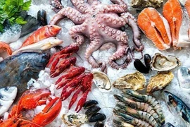 Ăn hải sản thế nào để không rước độc vào người?