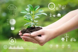 Vì sao lối sống xanh giúp bạn sống khỏe hơn mỗi ngày?