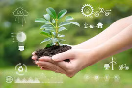 Vì sao lối sống xanh giúp bạn sống khỏe hơn mỗi ngày?